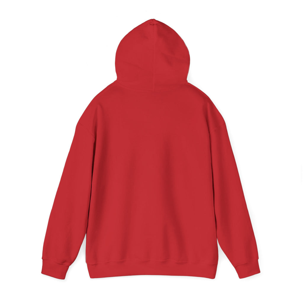 Reggae on the River Hoodie — Retro Rasta Music Festival Pullover
