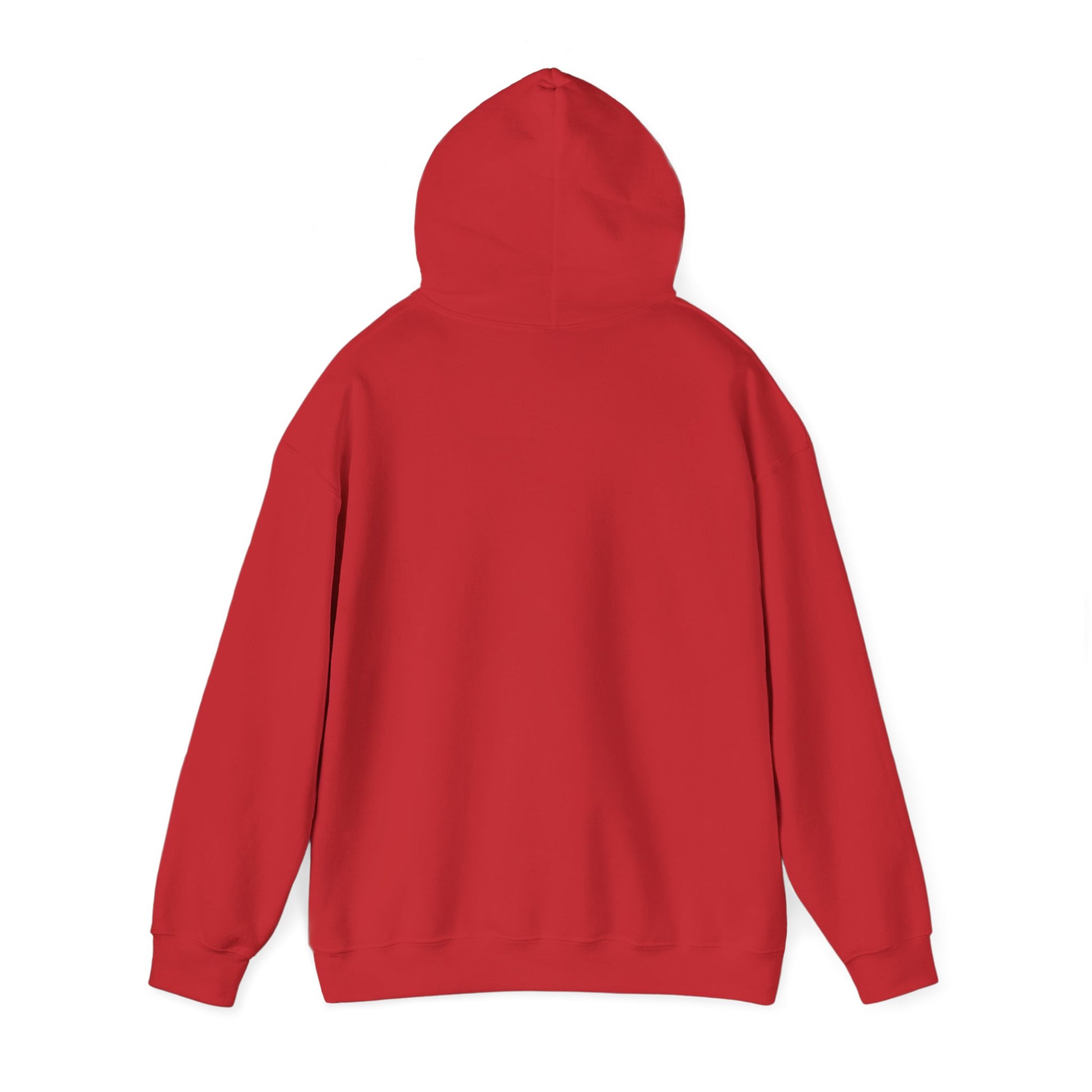 Reggae on the River Hoodie — Retro Rasta Music Festival Pullover