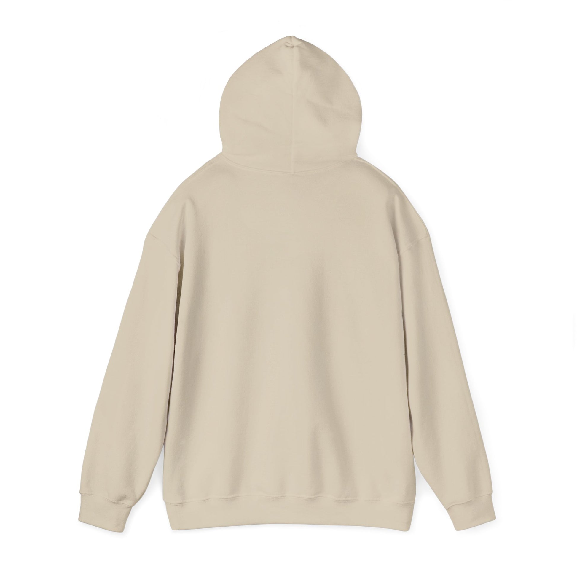Reggae on the River Hoodie — Retro Rasta Music Festival Pullover