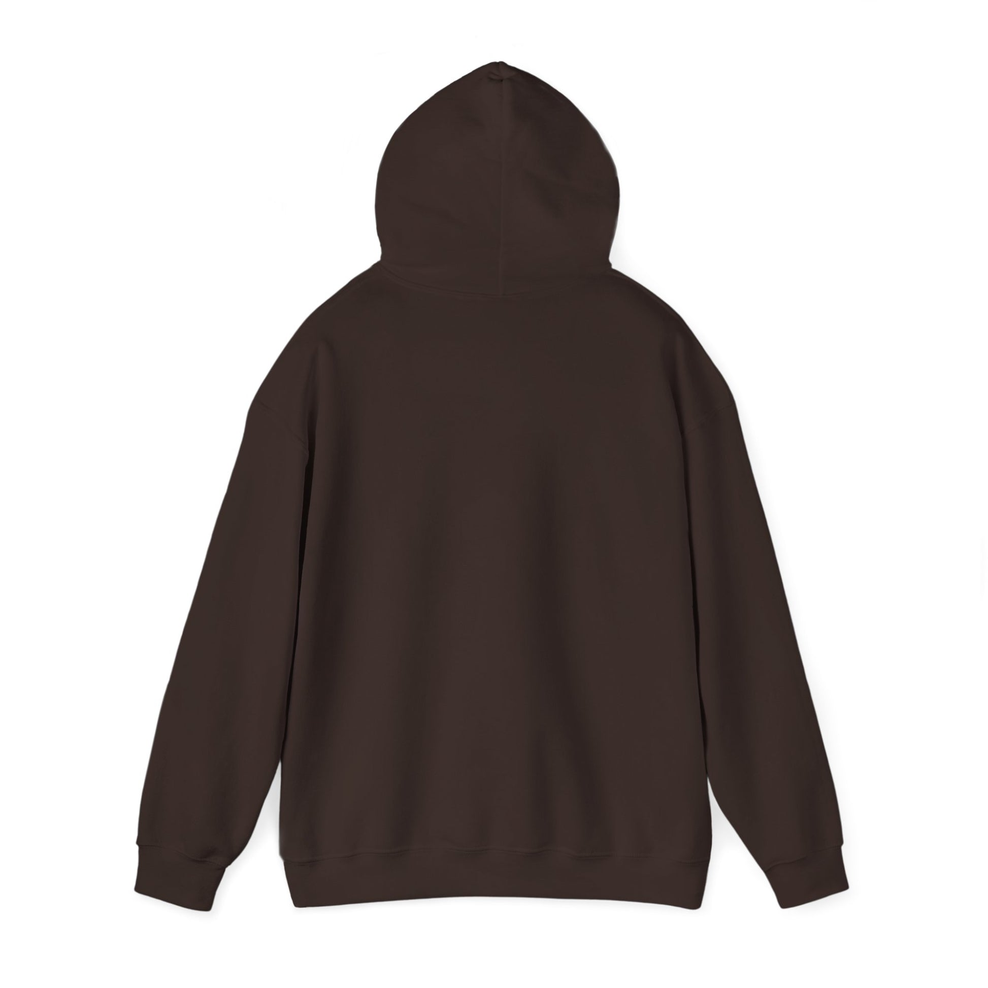 Reggae on the River Hoodie — Retro Rasta Music Festival Pullover