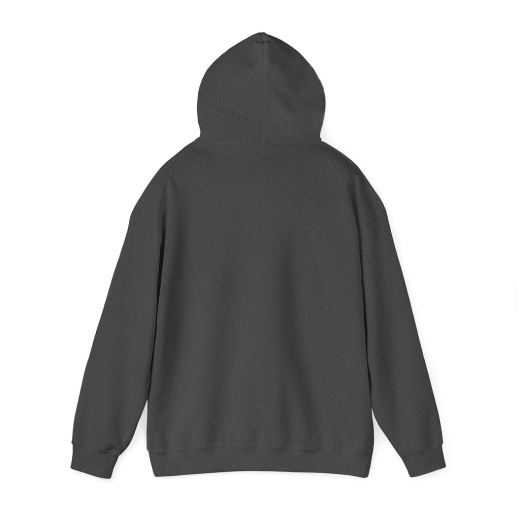 Reggae on the River Hoodie — Retro Rasta Music Festival Pullover