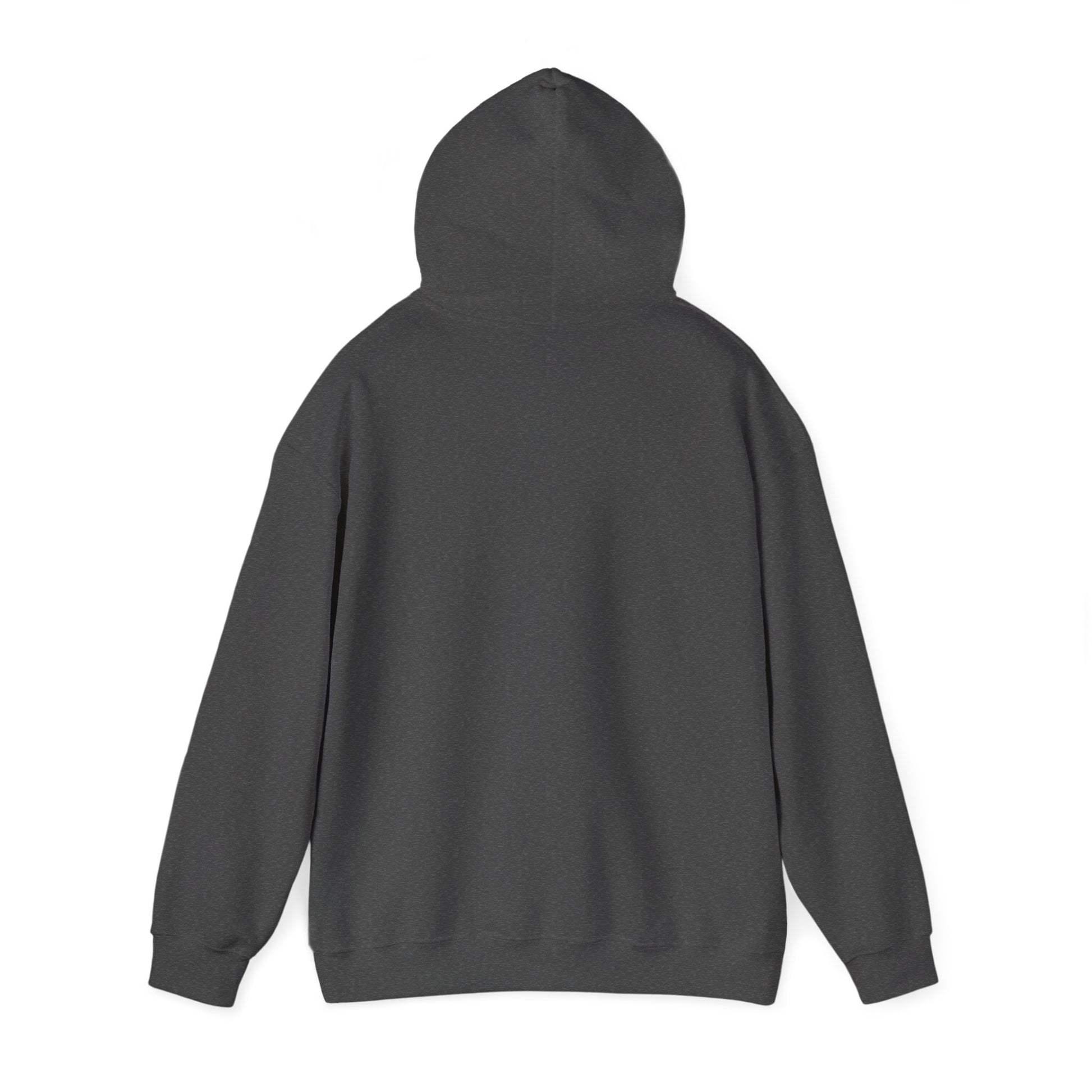 Reggae on the River Hoodie — Retro Rasta Music Festival Pullover
