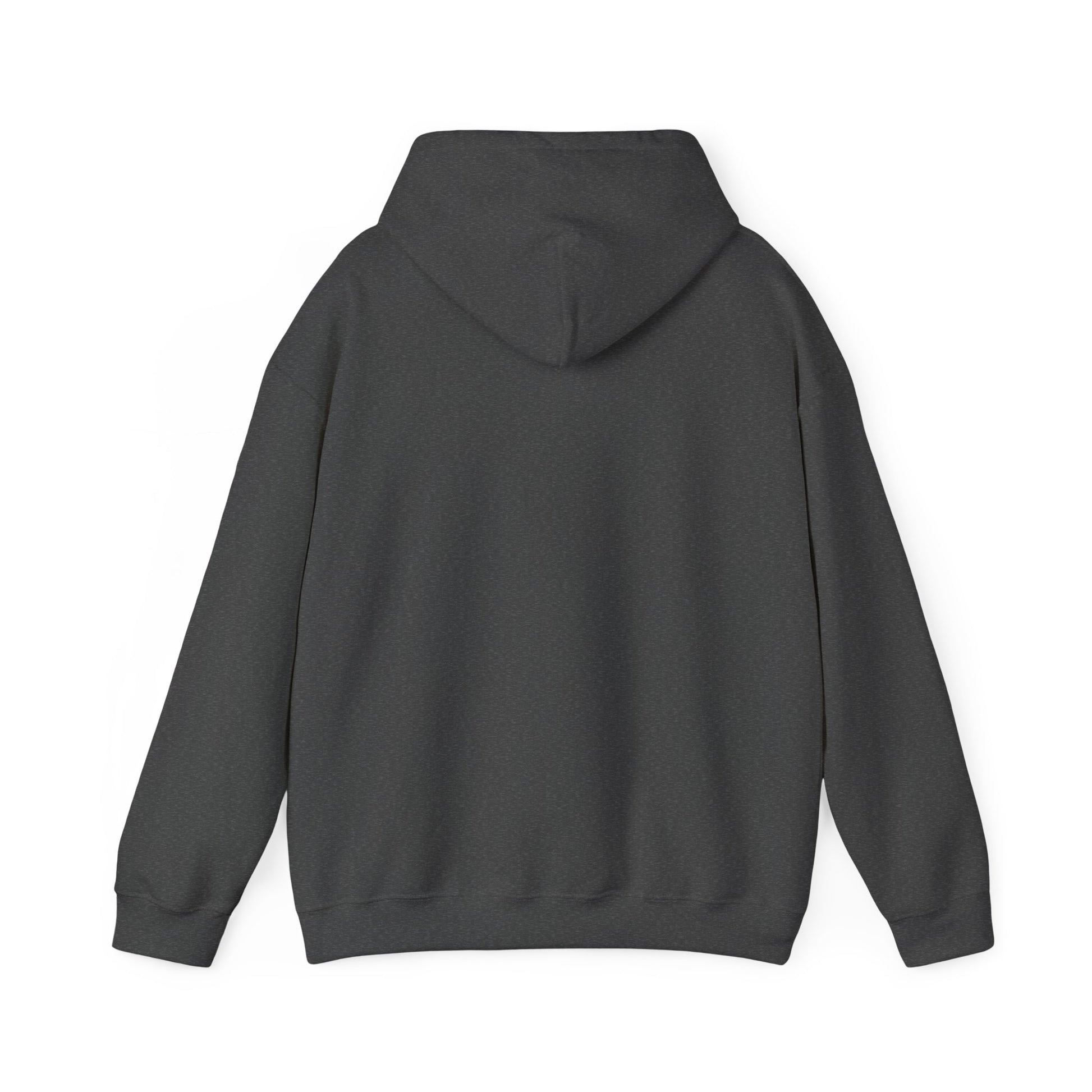 Reggae on the River Hoodie — Retro Rasta Music Festival Pullover