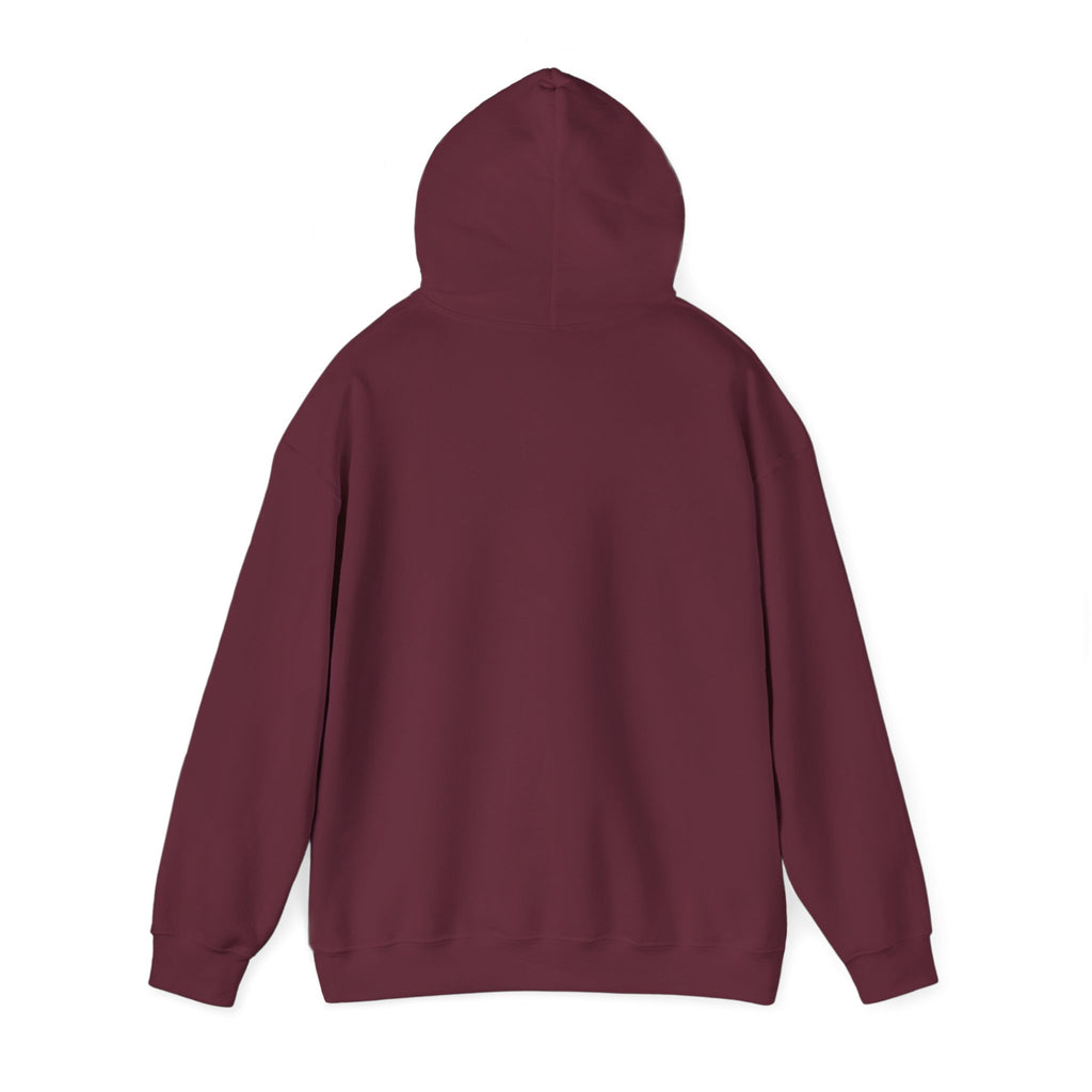 Reggae on the River Hoodie — Retro Rasta Music Festival Pullover