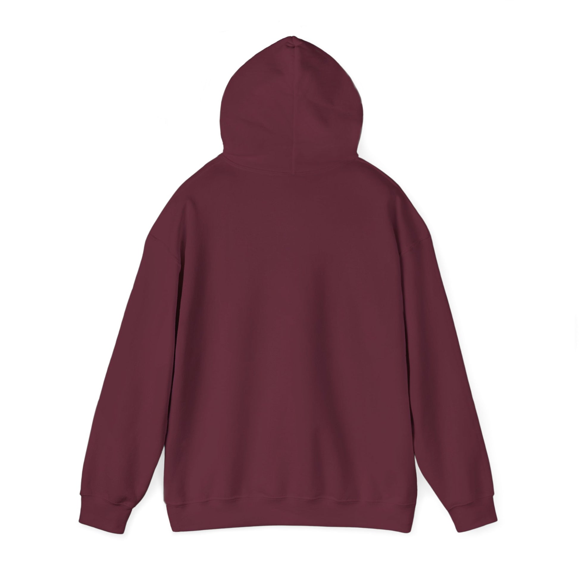 Reggae on the River Hoodie — Retro Rasta Music Festival Pullover