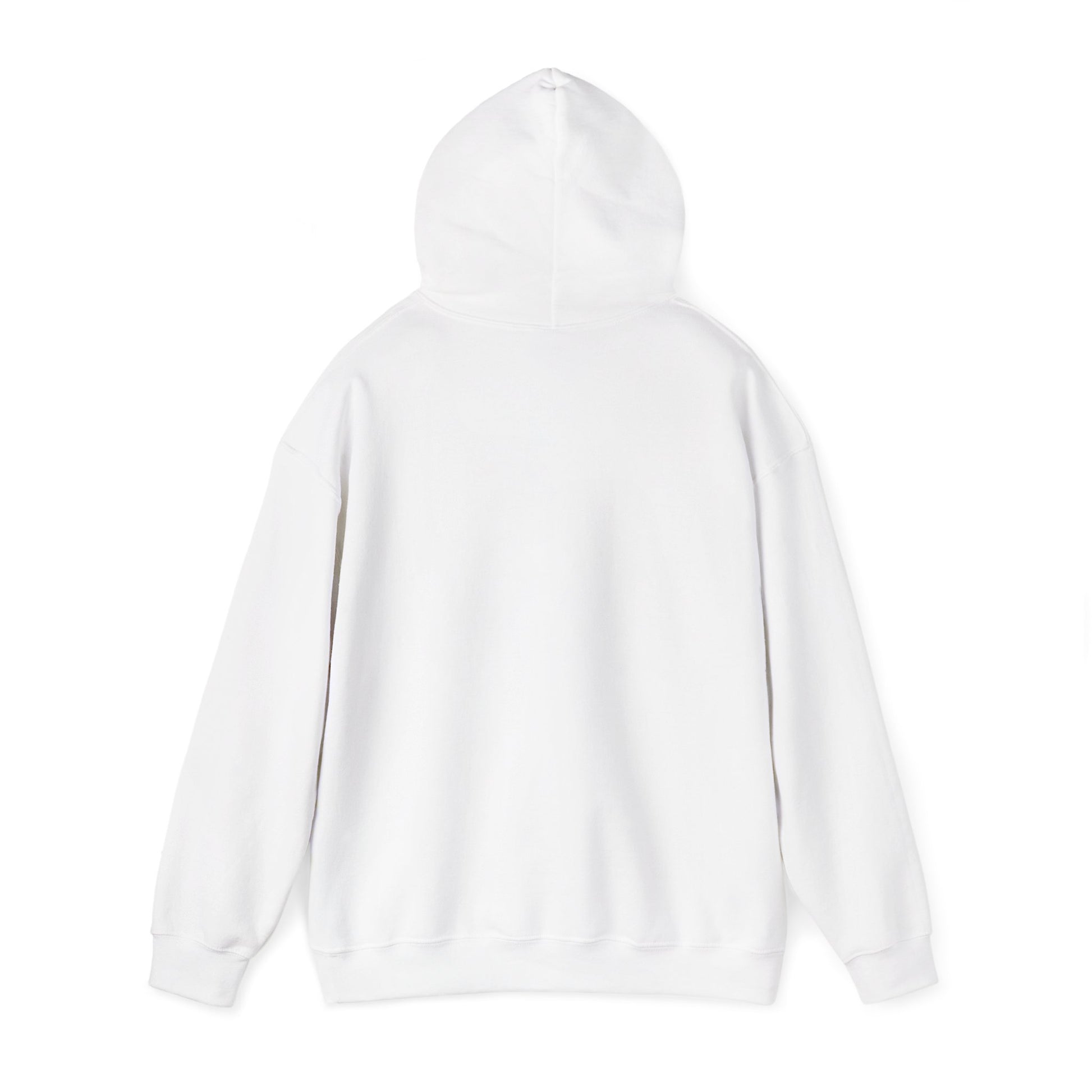 Reggae on the River Hoodie — Retro Rasta Music Festival Pullover