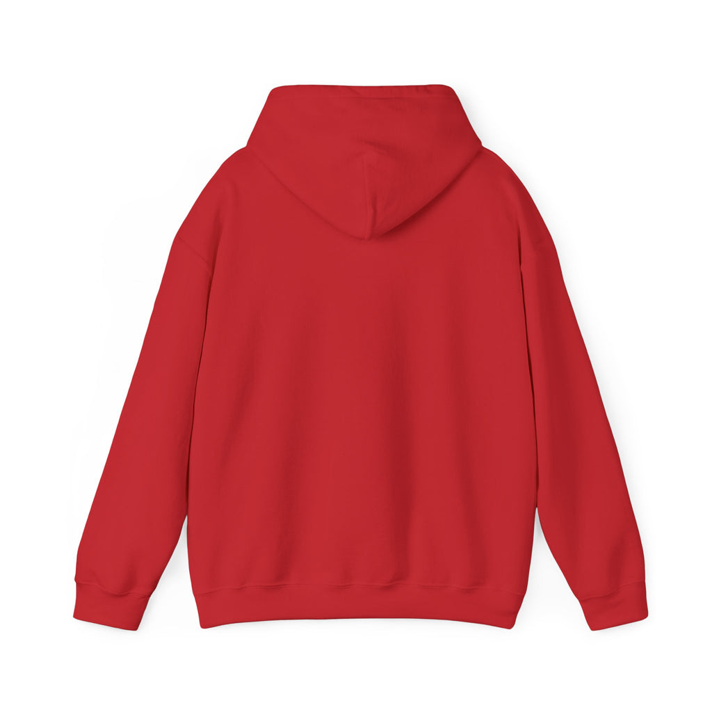 Reggae on the River Hoodie — Retro Rasta Music Festival Pullover
